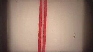 Vomit Enema Ecstasy 1 and 2 - фильмы из 7 уровня айсберга. Краткий обзор.