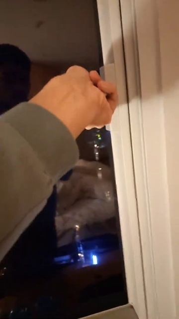 TUNGI SEOUL😍 смотреть онлайн