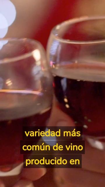 Curiosidades del vino Francés parte 2 смотреть онлайн