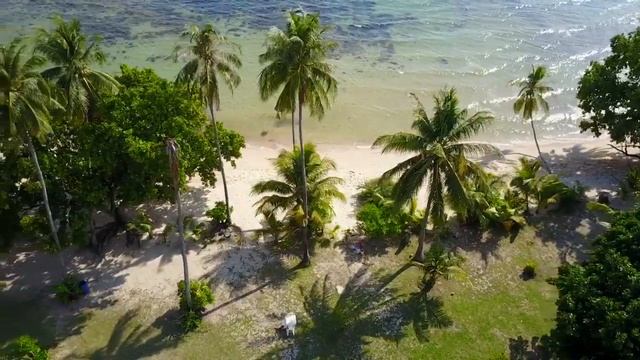 Kohmak Lazyday Resort смотреть онлайн