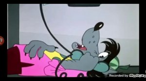 Бен разговаривает с волком