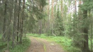 Лехнаволок, Логмозеро, Суйсарьская трасса.