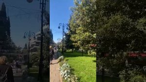 Платановая Аллея в Сочи