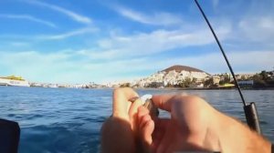 Рыбалка на Канарских островах #путешествия #отдых #рыбалка