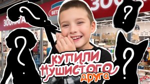 VLOG КУПИЛИ ПУШИСТОГО ДРУГА