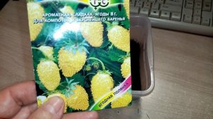 Начала всходить ЗЕМЛЯНИКА Жёлтая Ремонтантная сорта "ХОЛИДЕЙ"!!! Довольна РЕЗУЛЬТАТОМ!!! 5.2.24г