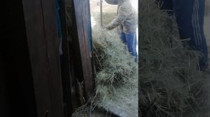 Подача еды подругам прям на стол))