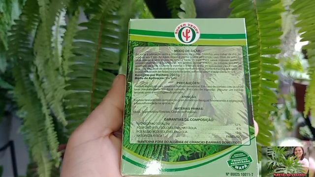 Fertilizante nas samambaias,como usei,Minha floresta de samambaia,#urbanjungle #samambaia#petrolina смотреть онлайн