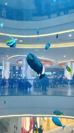 На лифте - через аквариум