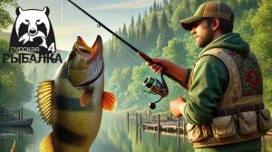 🎣 Ловля ТРОФЕЙНОГО ОКУНЯ в Русской Рыбалке 4! | Где искать и на что клюёт?