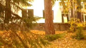 Белка в парке курорта Увильды