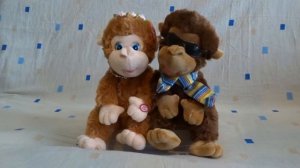 поющие обезьянки