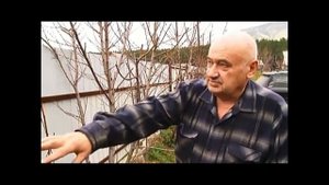 Железов Валерий Урок по обрезке