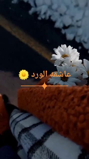 #اقتباسات_ايجابيه#🌼 смотреть онлайн