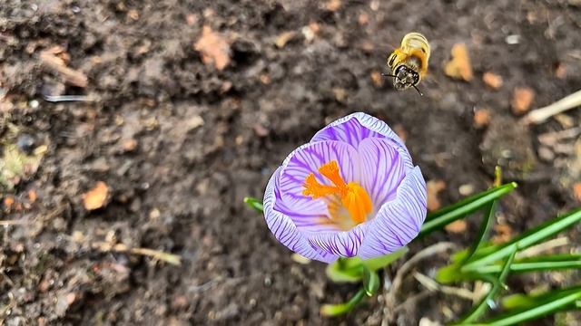 Начало весны 🌸 28 марта 2021 г. смотреть онлайн