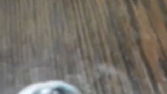 Мой курятник (пока не шляйх ) смотреть онлайн