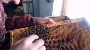 вторая погибшая семья. Причина уже понятна.