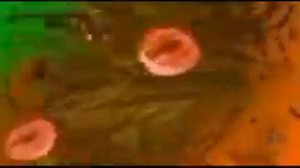 еда жмых эффект