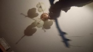 Максим невижу 12 серий 2025 года