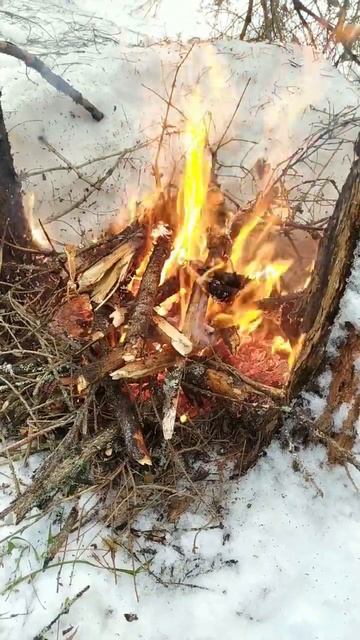 #огонь наслаждаемся звуками горения костра смотреть онлайн