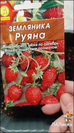 18.02.2025 ЗЕМЛЯНИКА #shorts