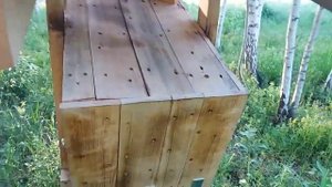 Колода #1. Колодное пчеловодство