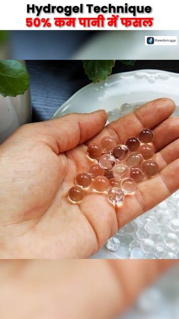 जुगाड़ तकनीक! खेत में पानी की कमी दूर करेगा Hydrogel #shorts