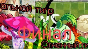 финал чемпионата стольной тигр против огненный гипноз