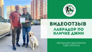 Лабрадор. Тянет поводок, крушит дом, гиперактивность. Видеоотзыв ученицы