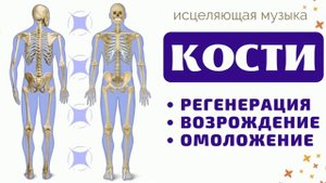 ОМОЛОЖЕНИЕ И ВОЗРОЖДЕНИЕ КОСТЕЙ И СУСТАВОВ (РЕГЕНЕРАЦИЯ)*ЧАСТОТЫ ШМИДТА*ИСЦЕЛЕНИЕ ЗВУКОМ