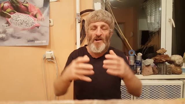 Предсказание жизни во всем мире смотреть онлайн