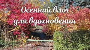 ОСЕННИЙ ВЛОГ 31 ДЛЯ ВДЛХНОВЕНИЯ. КАНИКУЛЫ. НОВЫЕ ВЯЗАНЫЕ ИЗДЕЛИЯ