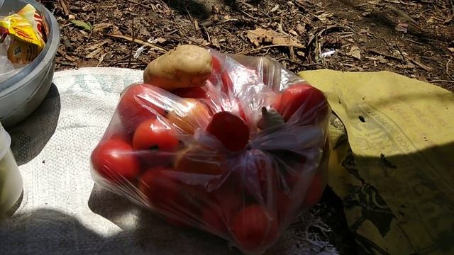 Индийская свадьба. В Локдаун Сегодня Конец апреля 2021. Как и ГДЕ Спят Садху. смотреть онлайн