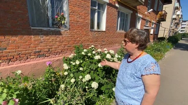 Озеленение придомовой территории