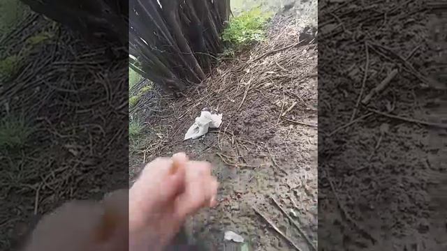 15 апреля 2022 г. смотреть онлайн