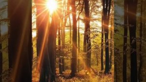 Евгений Путилов(Судьба)