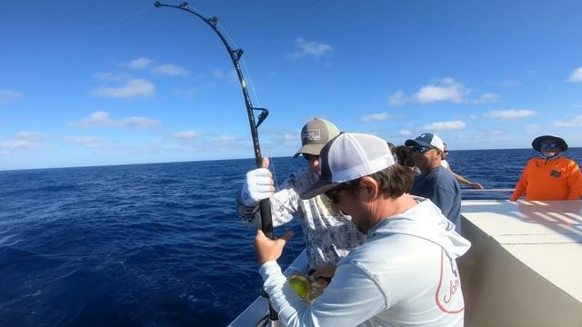 Slow Pitch Jigging Yellowfin Tuna | Tackle and Gear | JohnnyJigs | Offshore Fishing | смотреть онлайн