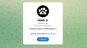 Paws bot - что нужно делать, когда листинг, цена за 1 монету PAWSOG бот