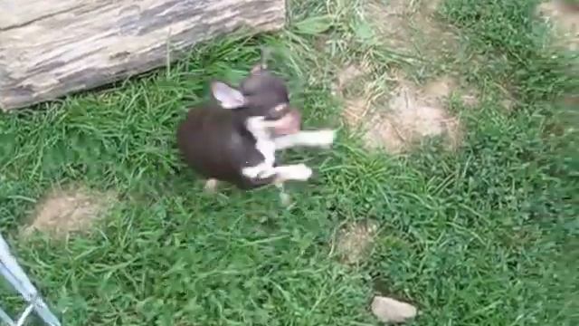 MVI 1106 смотреть онлайн