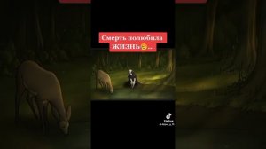 Смерть полюбила жизнь 😱🥺🥹