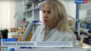 ТВ: Специалисты Донского филиала ФГБУ «ЦОК АПК» проверили качество семян гороха перед севом