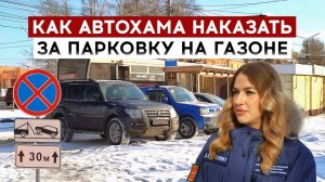 Как автохама наказать за парковку на газоне