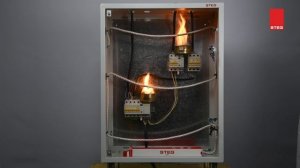 STEG Cord presentation