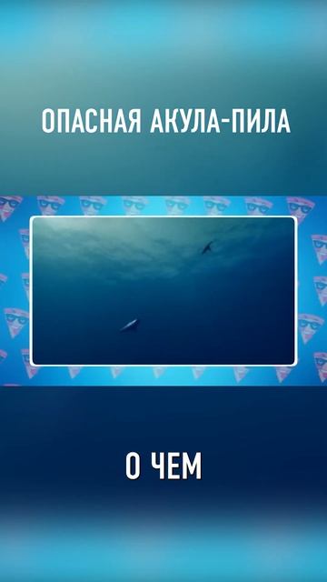 Эта Акула Охотилась Даже На ДИНОЗАВРОВ #shorts смотреть онлайн