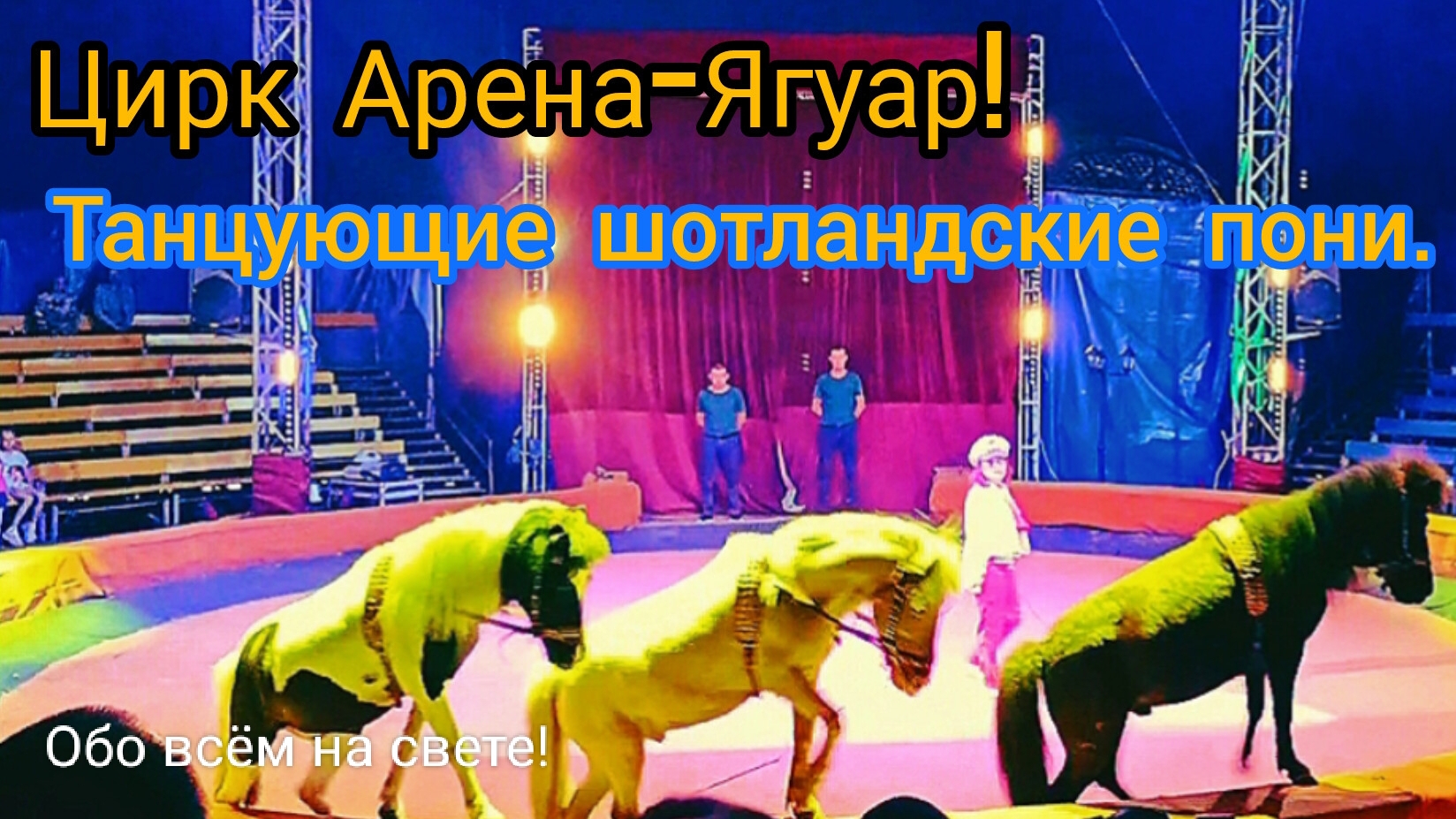Цирк "Арена-Ягуар!" 🎪Танцующие шотланские пони. 🐎