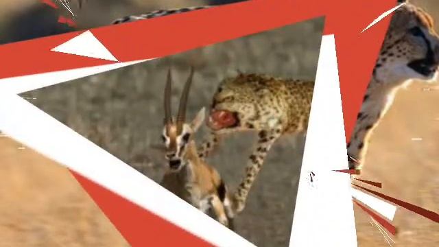 Геопард смотреть онлайн