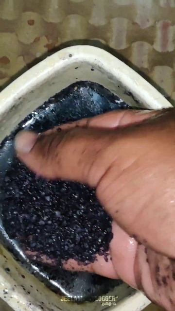 MY BETTA FISH 💥🤩 смотреть онлайн