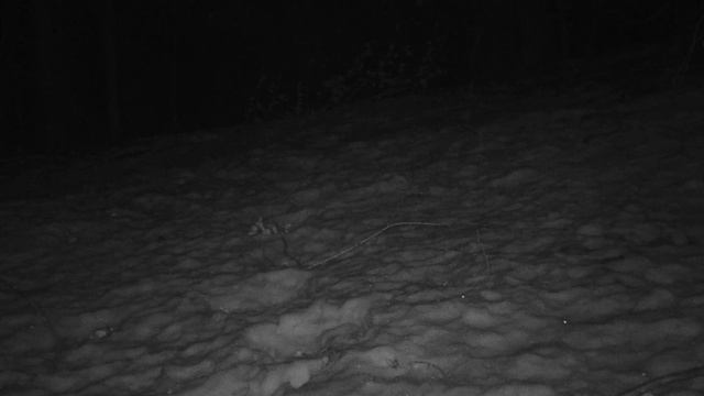 camera hc- 810 series смотреть онлайн