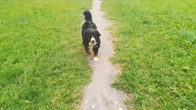 Счастье бежит на встречу)) смотреть онлайн