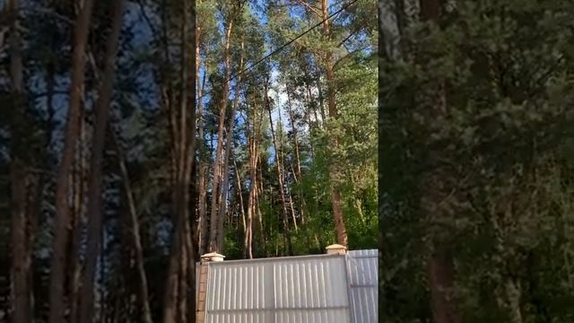 МОИ РИТУАЛЫ ВАМ В ПОМОЩЬ…ВЕДЬМИНА ИЗБА ИНГА ХОСРОЕВА смотреть онлайн